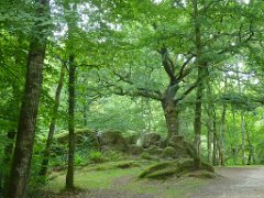 Promenade La Glane (20)